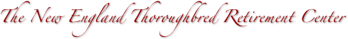 
The New England Thoroughbred Retirement Center 