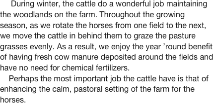 
 











    
    


   
     During winter, the cattle do a wonderful job maintaining the woodlands on the farm. Throughout the growing season, as we rotate the horses from one field to the next, we move the cattle in behind them to graze the pasture grasses evenly. As a result, we enjoy the year ’round benefit of having fresh cow manure deposited around the fields and have no need for chemical fertilizers.
    Perhaps the most important job the cattle have is that of enhancing the calm, pastoral setting of the farm for the horses.