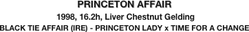 PRINCETON AFFAIR
 1998, 16.2h, Liver Chestnut Gelding
BLACK TIE AFFAIR (IRE) - PRINCETON LADY x TIME FOR A CHANGE
