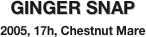 GINGER SNAP
2005, 17h, Chestnut Mare