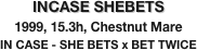 INCASE SHEBETS
1999, 15.3h, Chestnut Mare
IN CASE - SHE BETS x BET TWICE
