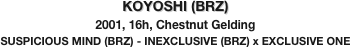 KOYOSHI (BRZ)
2001, 16h, Chestnut Gelding
SUSPICIOUS MIND (BRZ) - INEXCLUSIVE (BRZ) x EXCLUSIVE ONE
