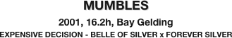 MUMBLES
2001, 16.2h, Bay Gelding
EXPENSIVE DECISION - BELLE OF SILVER x FOREVER SILVER
