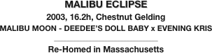MALIBU ECLIPSE
2003, 16.2h, Chestnut Gelding
MALIBU MOON - DEEDEE’S DOLL BABY x EVENING KRIS
_________________________________
Re-Homed in Massachusetts
