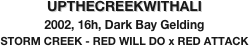 UPTHECREEKWITHALI
2002, 16h, Dark Bay Gelding
STORM CREEK - RED WILL DO x RED ATTACK
