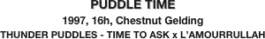 PUDDLE TIME
1997, 16h, Chestnut Gelding
THUNDER PUDDLES - TIME TO ASK x L’AMOURRULLAH
