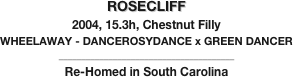 ROSECLIFF
2004, 15.3h, Chestnut Filly
WHEELAWAY - DANCEROSYDANCE x GREEN DANCER
_______________________________________
Re-Homed in South Carolina