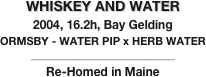 WHISKEY AND WATER
2004, 16.2h, Bay Gelding
ORMSBY - WATER PIP x HERB WATER
________________________________
Re-Homed in Maine