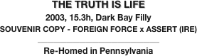 THE TRUTH IS LIFE
2003, 15.3h, Dark Bay Filly
SOUVENIR COPY - FOREIGN FORCE x ASSERT (IRE)
______________________________________
Re-Homed in Pennsylvania