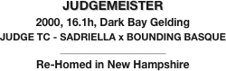 JUDGEMEISTER
2000, 16.1h, Dark Bay Gelding
JUDGE TC - SADRIELLA x BOUNDING BASQUE
__________________________
Re-Homed in New Hampshire